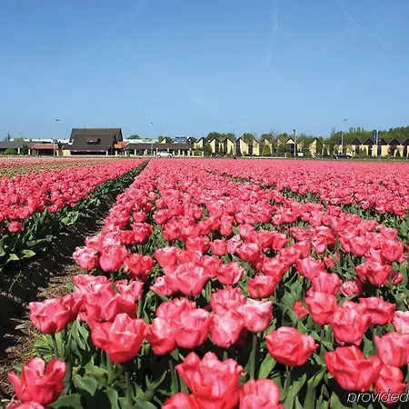 Fletcher - Restaurant Heiloo