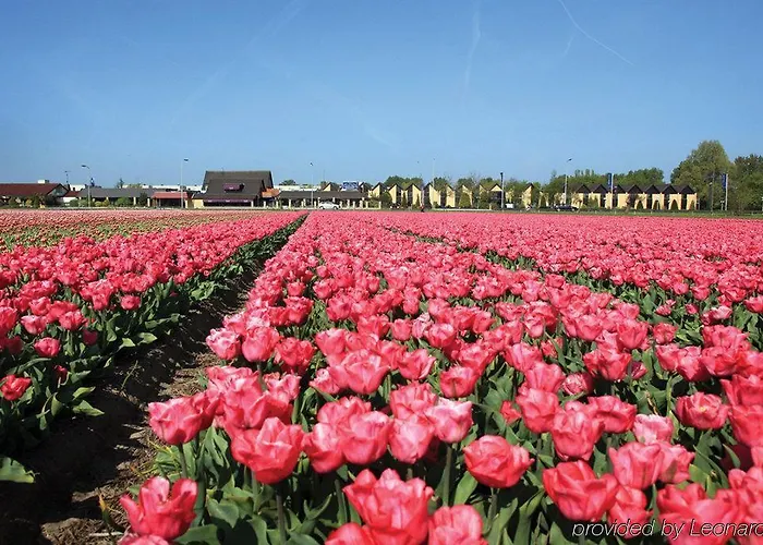 Fletcher - Restaurant 헤일루